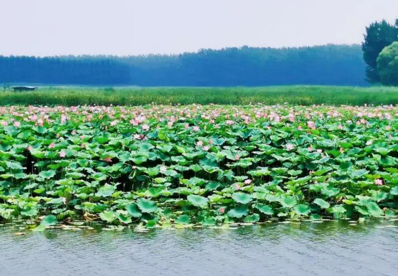 中国有多少个淡水湖？