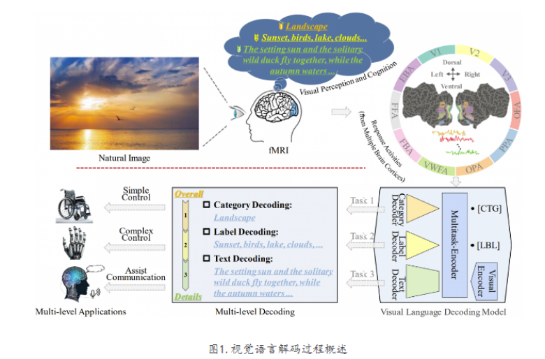 陈华富、颜红梅教授团队青年教师黄伟在Information Fusion期刊发表大脑视觉信息解码研究成果