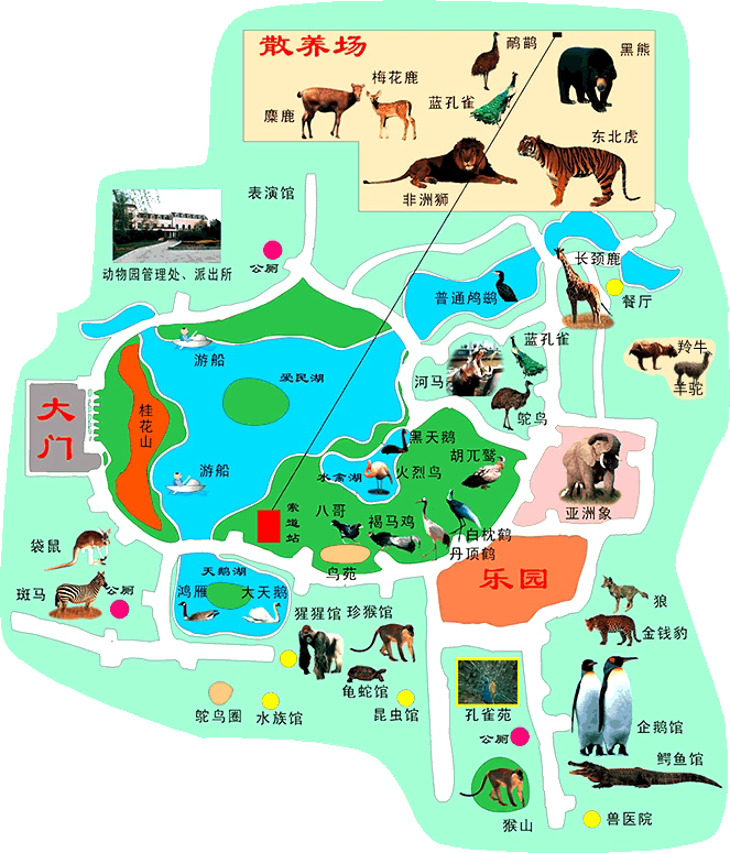 ac2fc3c416e0fde439db49ce.webp.png