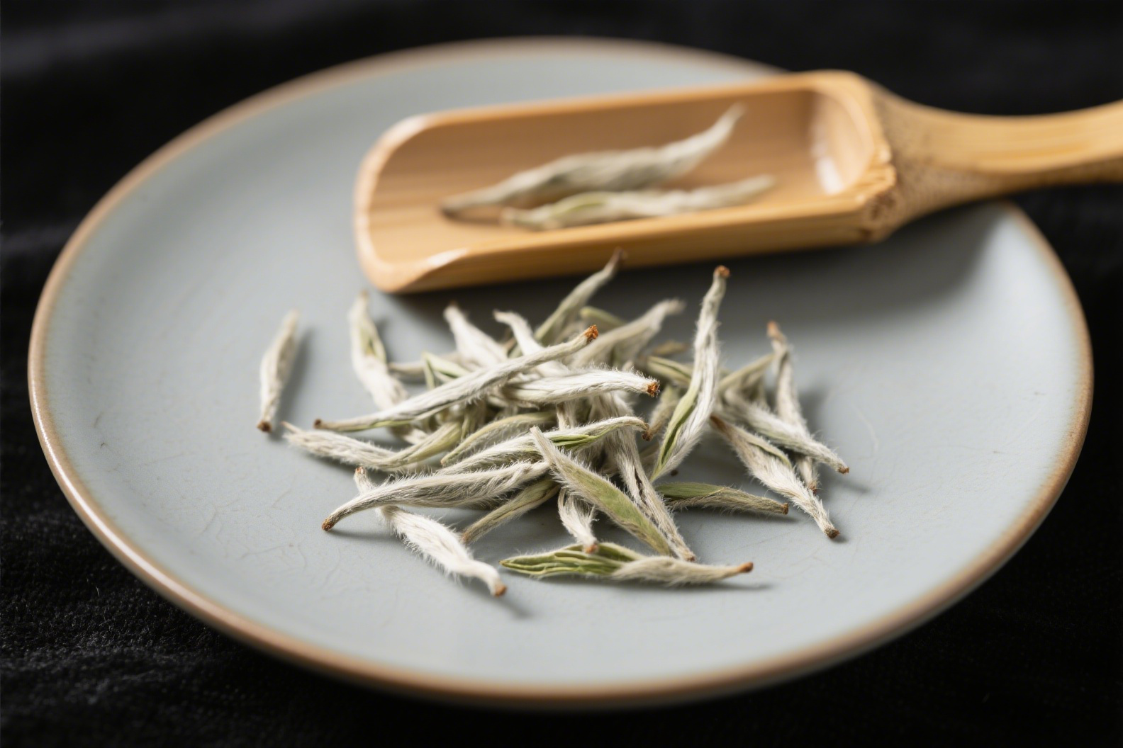福鼎白茶