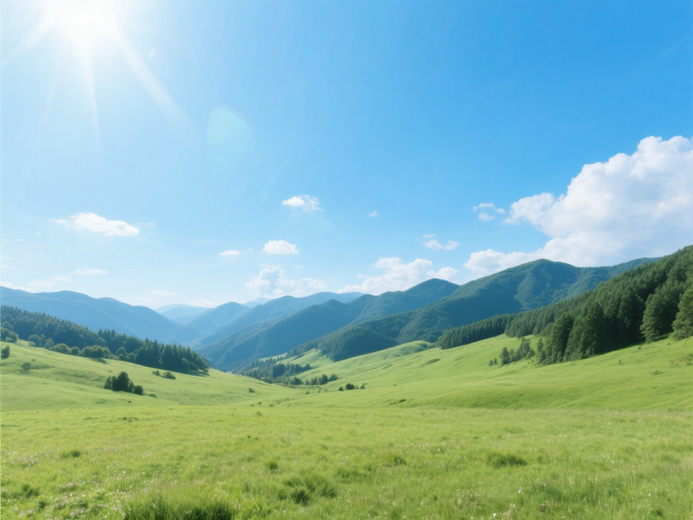 重庆仙女山国家森林公园