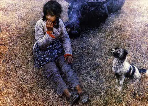 春风已经苏醒(何多苓创作的幅油画作品)