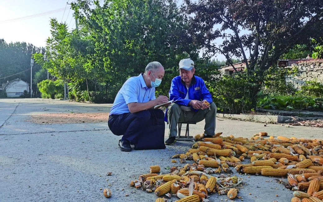 W020240326563351268021.png W020240326563351268021.png