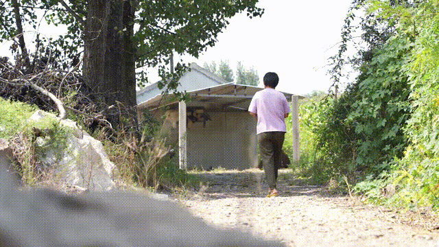 W020231218573020354703.jpg W020231218573020354703.jpg