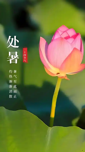 处暑(二十四节气之一)