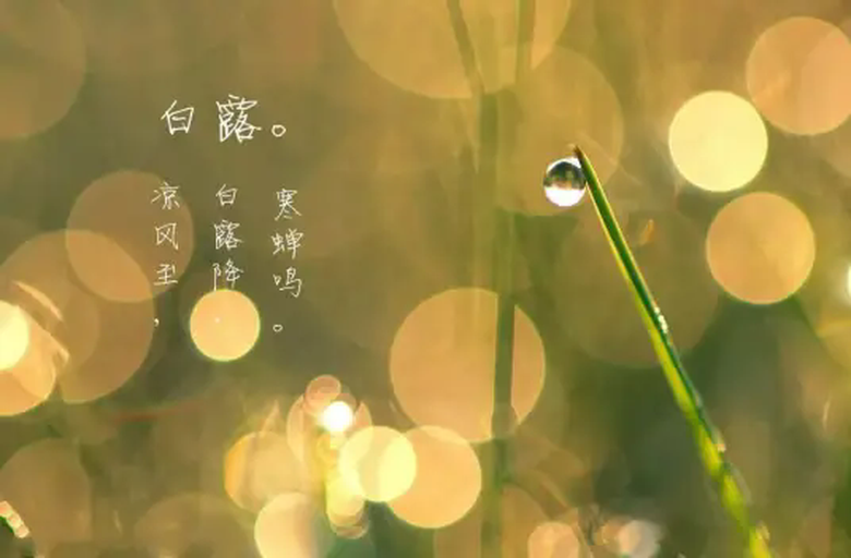白露(二十四节气之一)