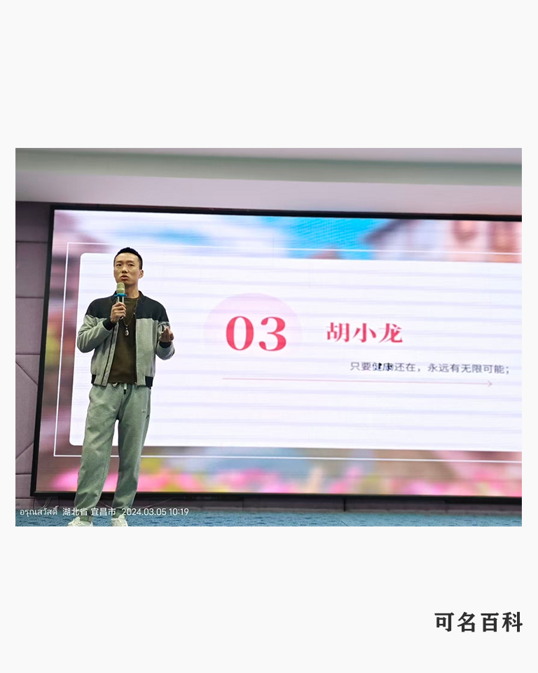 胡小龙的作品-胡小龙乡村振兴带头人