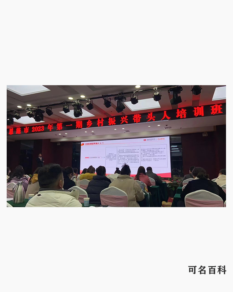 胡小龙的作品-胡小龙乡村振兴带头人