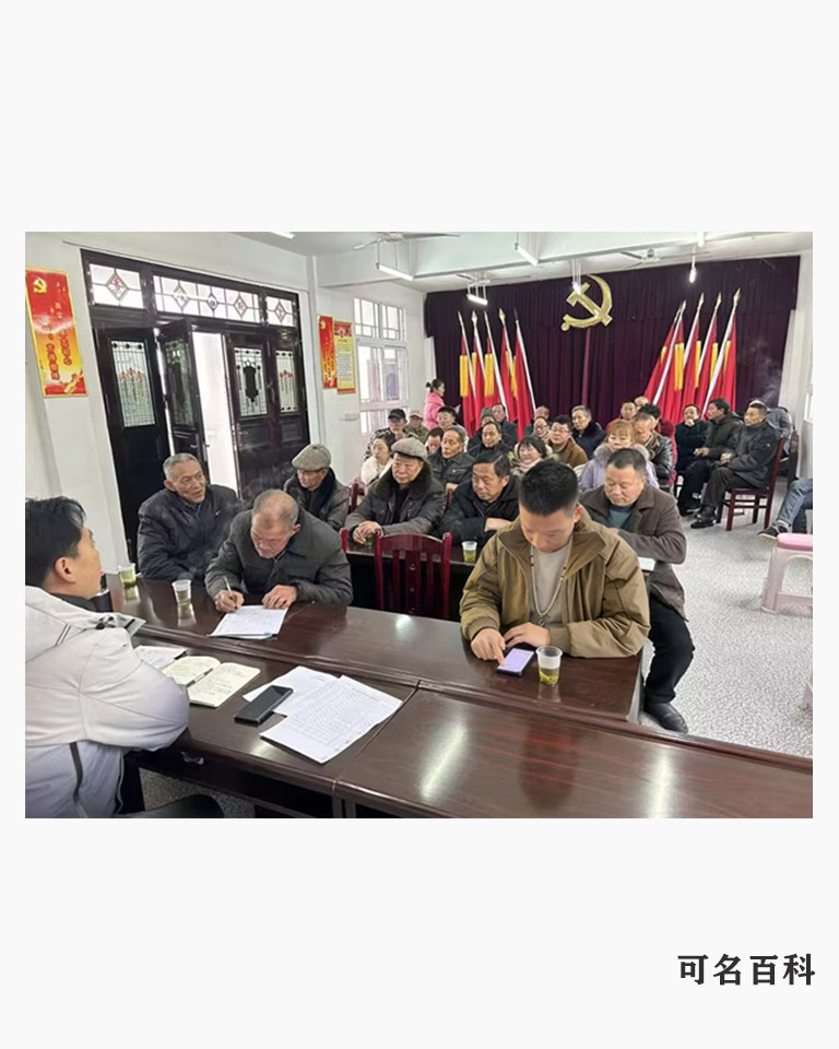 胡小龙的作品-胡小龙乡村振兴带头人