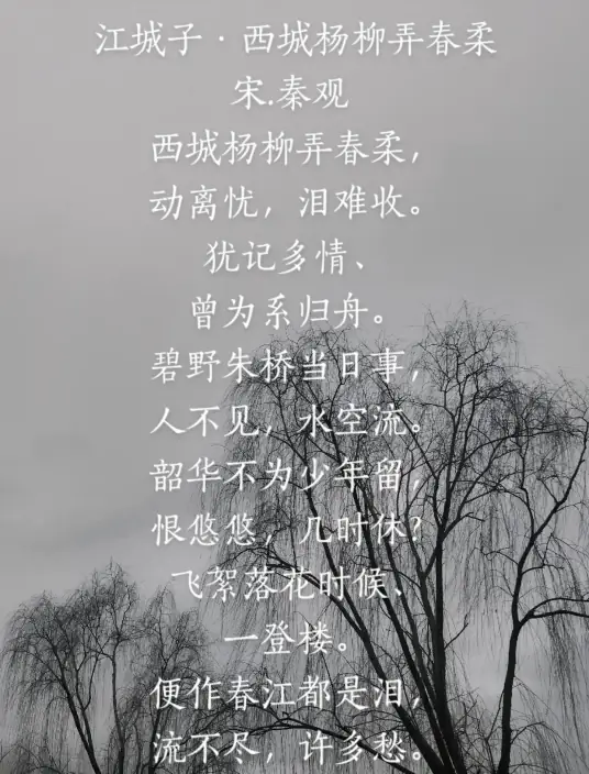 江城子·西城杨柳弄春柔