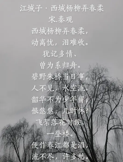 江城子·西城杨柳弄春柔