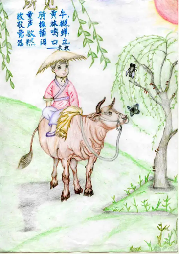 所见