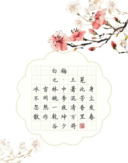 白梅