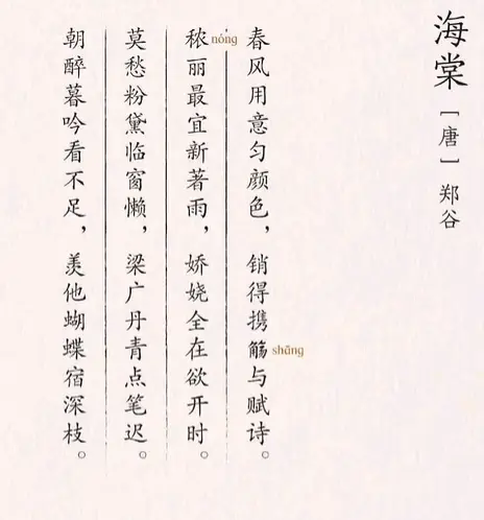 海棠