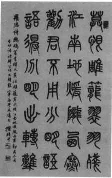 鹦鹉