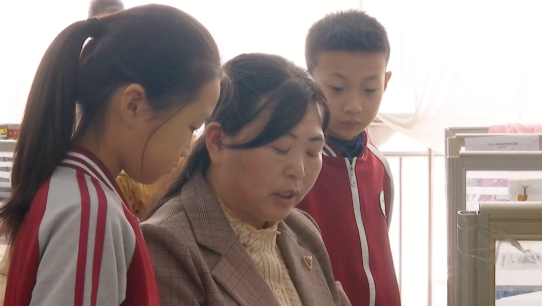 陆肖梅