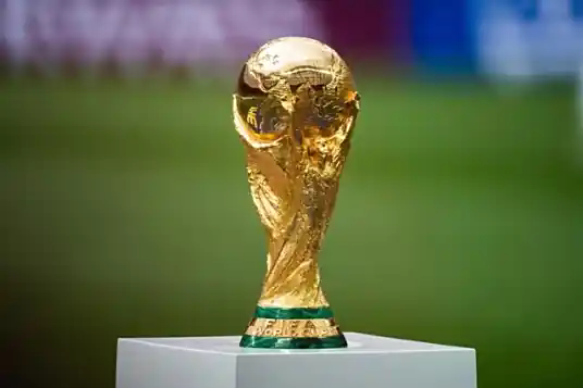 国际足联世界杯