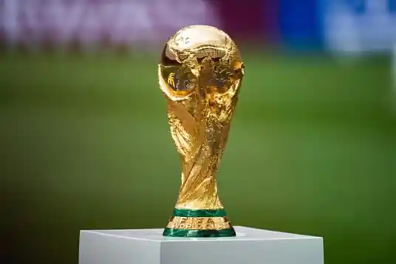 国际足联世界杯
